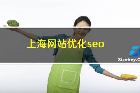 上海网站优化seo