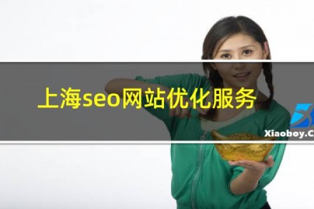 上海seo网站优化服务