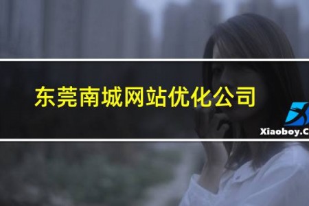 东莞南城网站优化公司
