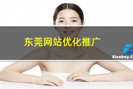 东莞网站优化推广