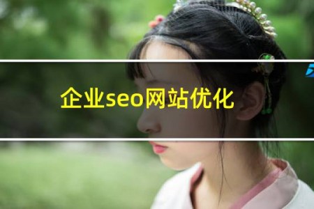 企业seo网站优化