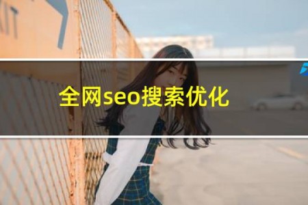 全网seo搜索优化