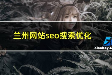 兰州网站seo搜索优化化