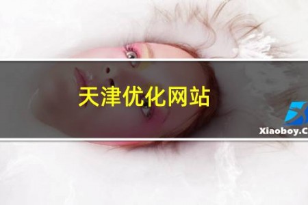 天津优化网站