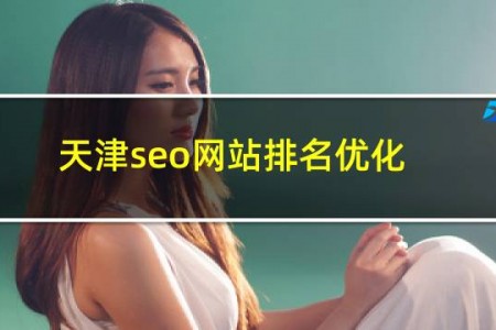 天津seo网站排名优化