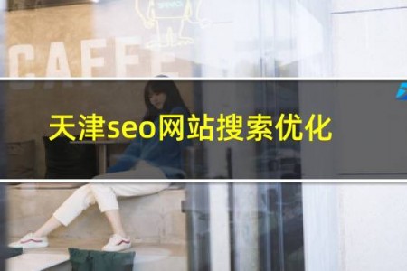 天津seo网站搜索优化