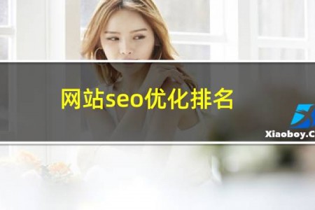 网站seo优化排名