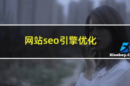 网站seo引擎优化