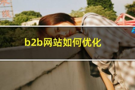 b2b网站如何优化