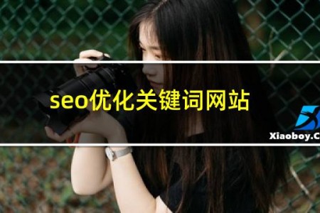 seo优化关键词网站