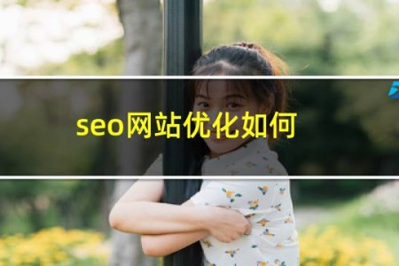 seo网站优化如何