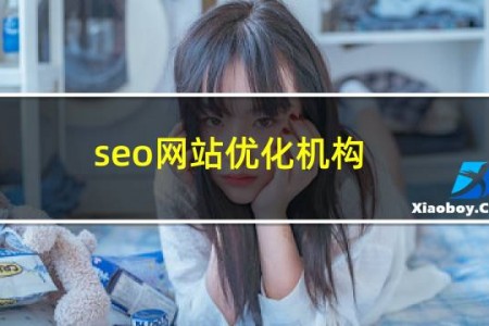 seo网站优化机构