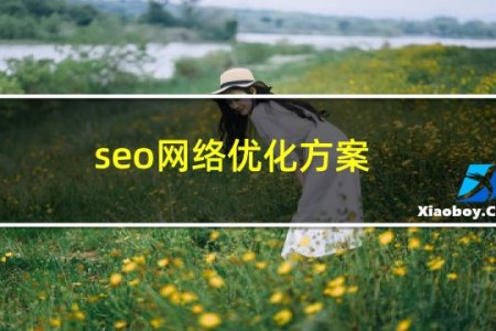 seo网络优化方案