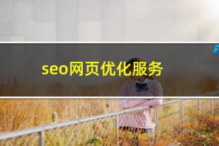 seo网页优化服务
